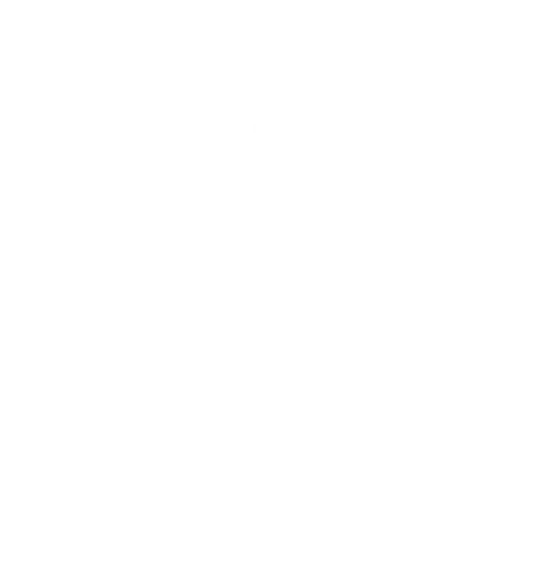 Mexicaps LLC